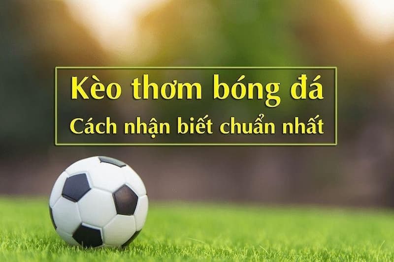 Hướng dẫn cách nhận biết kèo thơm