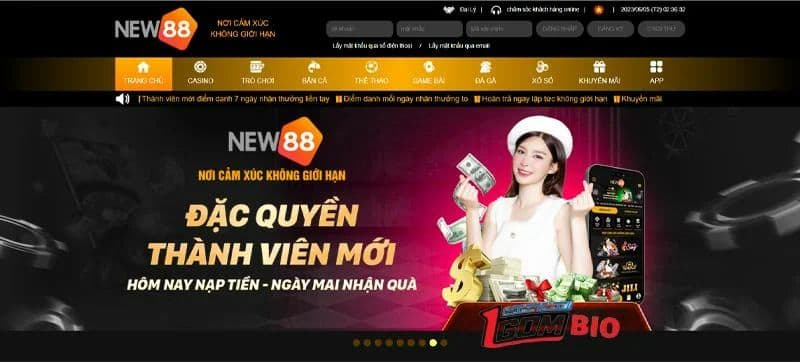 Khái quát về New88